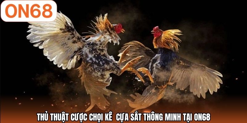 Thủ thuật cược chọi kê cựa sắt thông minh tại ON68